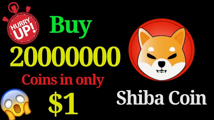 Thông tin về tiền điện tử Shiba Inu