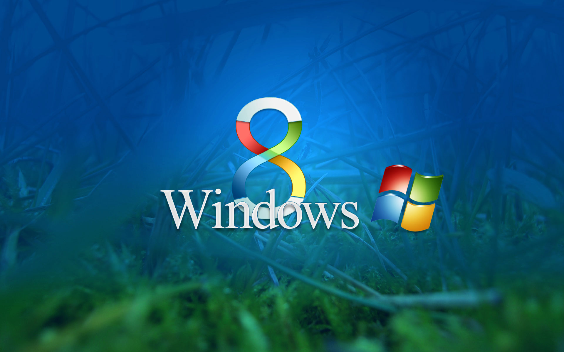 Nâng cấp máy tính lên Windows 8