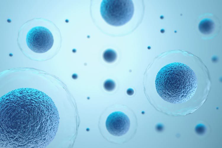 Tìm hiểu về công nghệ tế bào gốc